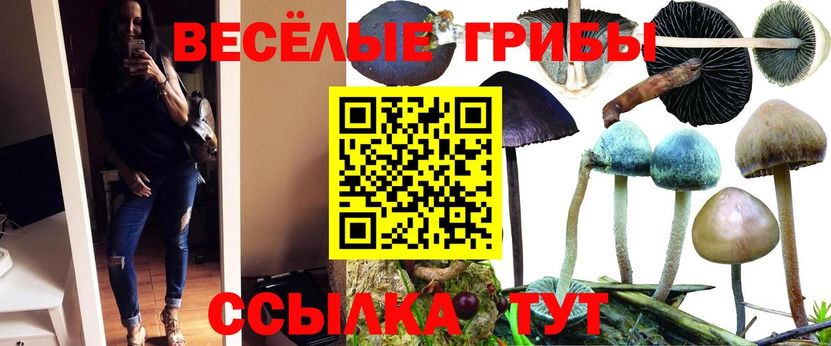Галлюциногенные грибы ЛСД Буйнакск