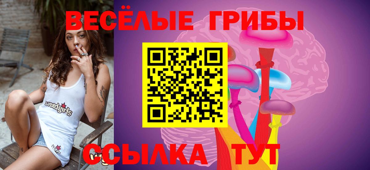 Галлюциногенные грибы прущие грибы  Вход с VPN  Буйнакск 