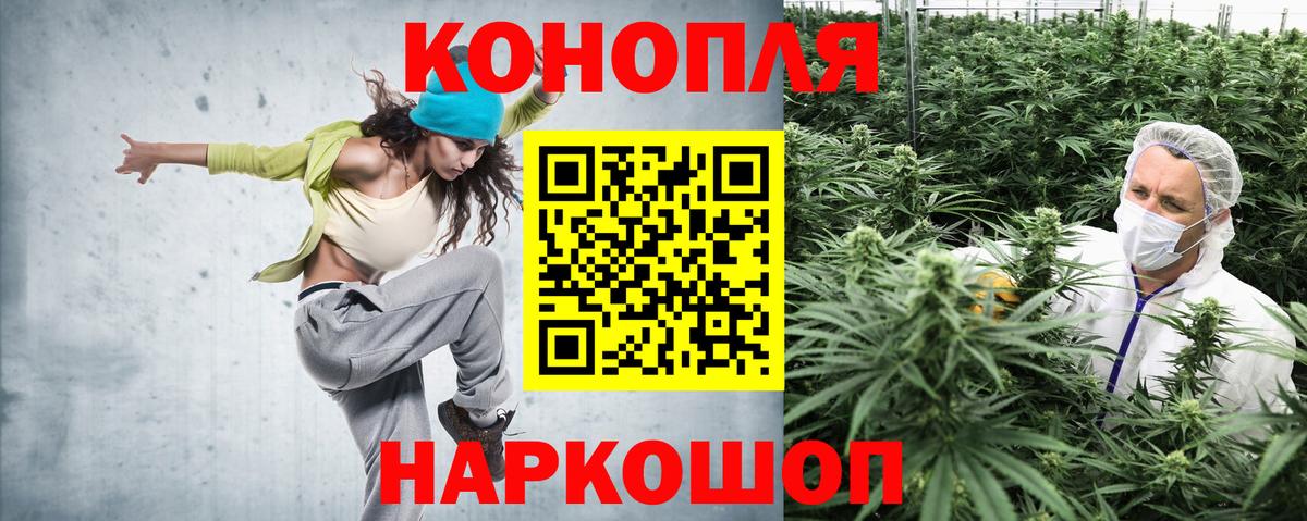 Бошки Шишки сатива Буйнакск